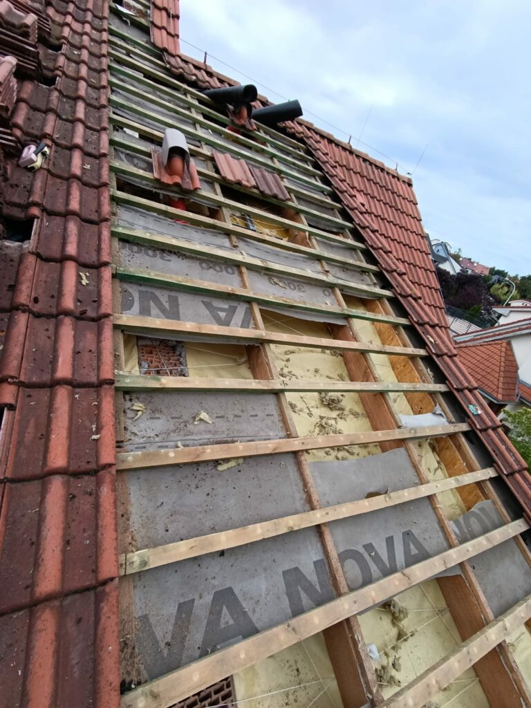 usuwanie szkód na dachu zniszczonym przez kune